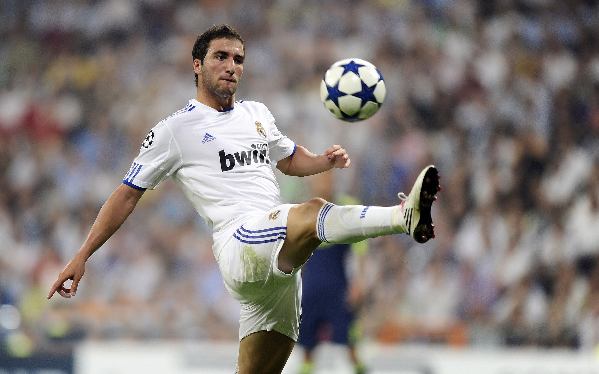 美洲杯逆境崛起：英雄辈出成就奇迹！，美洲杯 百科