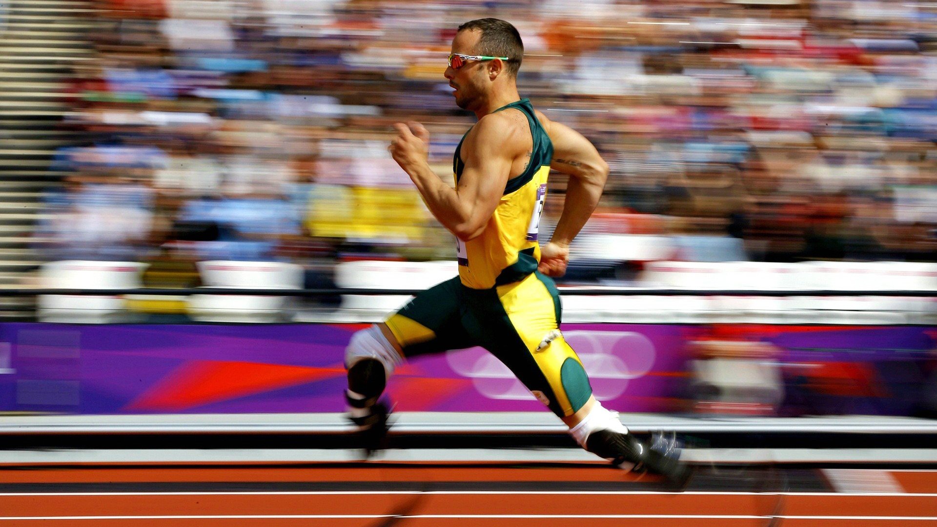 美洲杯逆境崛起：英雄辈出成就奇迹！，美洲杯 百科